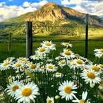 Daniel Savini - @daniel.savini.98 - Instagram