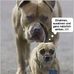 Daniel Sawinski - Facebook