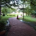 Daniel Saye - @daniel.saye - Instagram