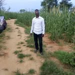 Daniel Saye - @daniel.saye.102 - Instagram
