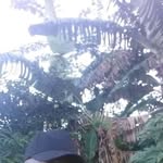 Daniel Saye - @daniel.saye.9847 - Instagram