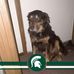 Daniel Sayers - Facebook