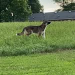 Daniel Saylor - @dsaylor_69 - Instagram