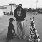Daniel Saylor - @socialpro24 - Instagram