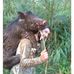Daniel Saylor - Facebook