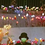 Daniel Sayson - @dhaniel.sayson.1 - Instagram