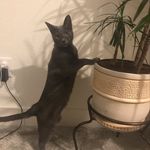Daniel Scates - @scates.daniel - Instagram