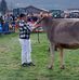 Daniel Schacher - Facebook