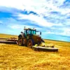 Daniel Schacher - @daniel.schacher - TikTok
