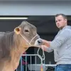 danielschacher - @danielschacher - TikTok