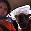 Daniel Schaffner216 - @danielschaffner21 - TikTok