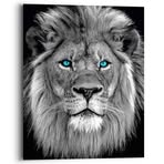 Daniel Schaper - Facebook