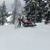 Daniel Schatt - @daniel.schatt - TikTok