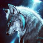 Daniel Schauer - @abysswolf25 - Instagram