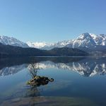 Daniel Schauer - @daniel.schauer.56 - Instagram