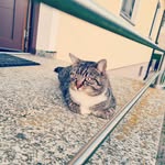 Daniel Schausberger - @danielxschausberger - Instagram