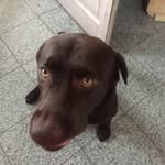 Daniel Scheel - @daniel.scheel.92 - Instagram