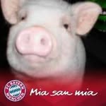 Daniel Scheele - @daniel.scheele.9i5t6 - Instagram