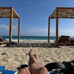 Daniel Scheibe - @agnostic_pork - Instagram