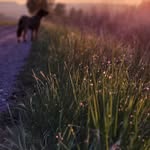 @daniela_scheidler_photographie - Instagram
