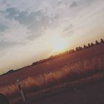 Daniel scheller - @daniel.scheller - Instagram