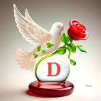 Dani Shulisa - Facebook