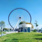 Daniel - @daniel_schemelensky_ - Instagram