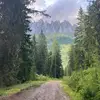 Daniël Schepers - @danielschepers0 - TikTok