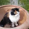 Daniel Scherhäufl - @daniel.scherhufl - TikTok