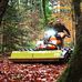 Daniel Scherrer - Facebook