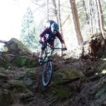 Daniel Scherrer - @danielcscherrer - Instagram