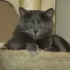 daniel scherrer - @daniel.scherrer1 - TikTok