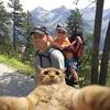 Daniel Scheurer - @danielscheurer - TikTok