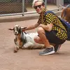 Daniel Schilling - @dans_chilling - TikTok