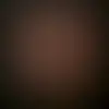 Daniel - @danielschimpf - TikTok