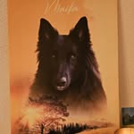 Daniel Schirmer - @schirmi_65 - Instagram
