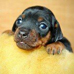 Daniel Schirmer - @eugen_schirmer - Instagram