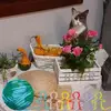 Daniela Schiro - @daniela.schiro5 - TikTok