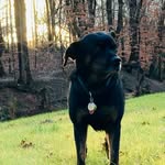 @danielschlagel - Instagram