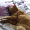 danielschmalenberg - @danielschmalenberg - TikTok