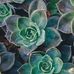 Danielle Schmerber - Facebook