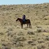 Daniel Schmidt - @daniel.schmidt551 - TikTok
