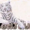 Daniel Schmit617 - @danielschmit617 - TikTok
