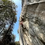 Daniel Schnabel - @schnabel_daniel - Instagram
