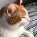 Daniel Schoenrock - Facebook