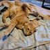 Daniel Shepko - Facebook