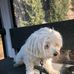 Daniel Schober - Facebook