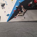 Daniel James Scholes - @dannyscholes123 - Instagram