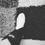 snsjs - @daniel.scholler1 - Instagram