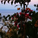 Daniel Schonwald - @schogar10 - Instagram